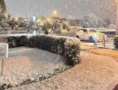 ����� � ������ �������� ������ 