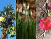 � ��������� ������������ ���� ������ ����, ���� � �����������