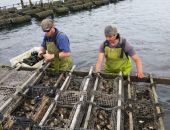 � �������� ���� ����� ��������� ����� �� ����������� ������