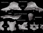  � �������� ������ ������� ����� ����������� �����������