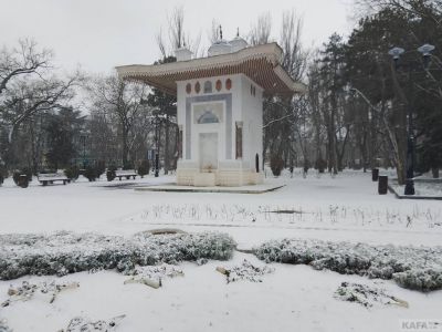 ���� ���������� �������� ��������