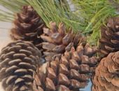 ������ ����� ����� �����  ��������� ��� �������� ����� � ���� ����