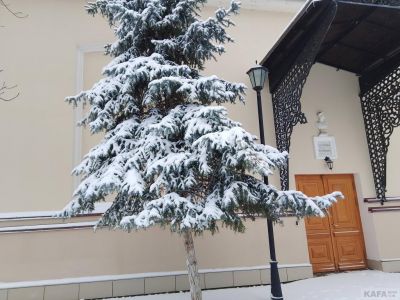 � ���� ��� ���������� �������� ��������