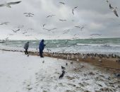 � �������� ����� �������