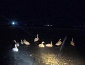 ��������� ����������� ��������� � ������ ������� �� ����� � ����� 