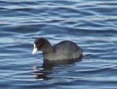 ���������� ������ ������ ����������� ������������� ����� ������