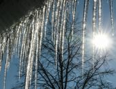 �� �������� ���������� ���� �������� 