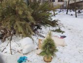 � �������� ������� ����������� ���� � �������� �����