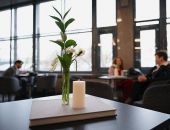 � ������ ������� ����������� ���������, ���� � ����