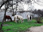 ������ ��������� ����������� �� ����� �������