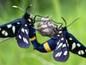  ��� ��������� ����������� �������