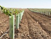  ������ 900 �������� ����� ������������� ������� � ����� �� ����� ����