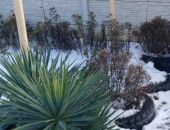 � �������� �������� ���������: �������� �� ������