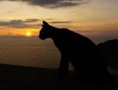 ������������ ��� ��������� 250 ���������� � �������� �� ������� ������ �������