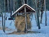 � ��������� ����������� ���������� �������� � ����� � ������