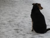 ��������� ������ ������ �� �������� � �����������