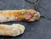 � ������ ���������� ������� ����� ��������� ������ ��-�� ���������� �������