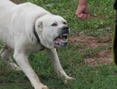 � �����  ������ �� ���������� ����� �� �������