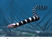 � ����� ������� ������� ���������� ������� ����