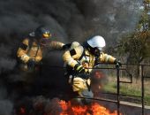 ��������� ������ � ����� � ������ � ���� �� ���