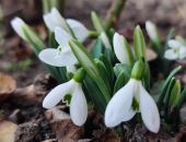 ����� �������� ��������� ������ ������ ��-�� ������� ����������