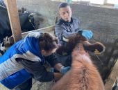 � ����� �������� ���������� �������� �������� � ����