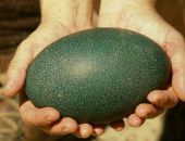 ��� � ��������������� ��������� ����� ���������� ����