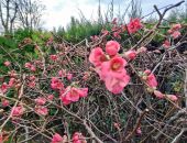 ��������: ����� �� ����� 