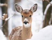 � ����� ��������� ��������� ������ � ��������� ������