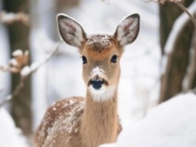� ����� ��������� ��������� ������ � ��������� ������