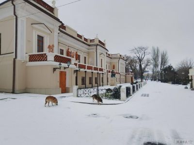 ��������, ���� �����: ����� ����, � ���� �������