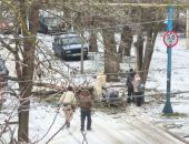 ������ ������� �� ������� � �����