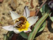 � ����� ����� ������ �� � ������ 