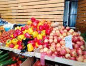 ����� �������� �������� ������ � ����� �����������