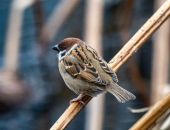 �������� ������ ��������� �������� �������� �������� 