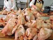  ������ 700 ����������� �����������  ���� ���������� � �����