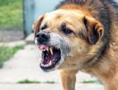 ���������� �������� �� ���� �������� �����