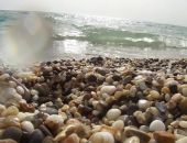 � ��������� ������������ ������� 172 ��� ������ ��� ������������� ����������