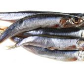  10 ��� ���� ����� �������� � ������ ���� � ������� ����