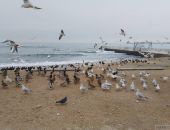 �� ������ �������� ����� ������� ����