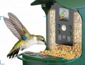 � �������� ����� �������� ��������-�������� ��� ����