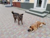 ���� � �������� ������������ �� �������� �����