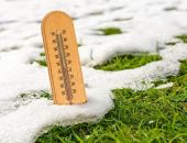 �������� ������: ��� �� ��� � �������� � �����?