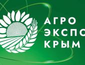 � ����� �������  �������� �������� ��������������