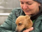 ������� �������, ������� ����� ������ ������ ���� ��� �����