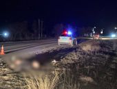 ��� ������������ 19-������ �������� �������� ����  ��������