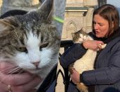 ���� ������ �������, ������� ������� ����� � ������ � �����, �������