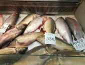 �  ����� ��������� ������� ����� ��� �� ����