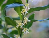  � ��������� ������������ ���� ����� �������� ����������