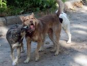 � ����� ������� ��������� ���� ����� ������ �� ����������� �����